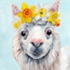 Daffodil Alpaca by Darcy Goedecke