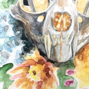 Cat Skull and Flowers by Darcy Goedecke