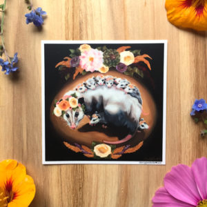 Opossum Sticker by Darcy Goedecke