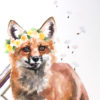 FoxDetailWeb