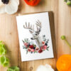 Albino Deer Card by Darcy Goedecke