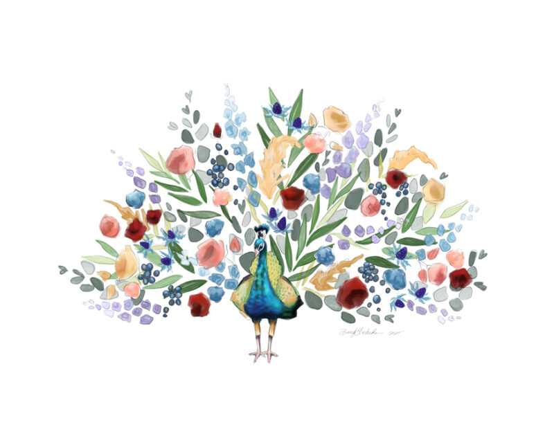 Floral Peacock by Darcy Goedecke