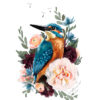 Kingfisher8x10Web