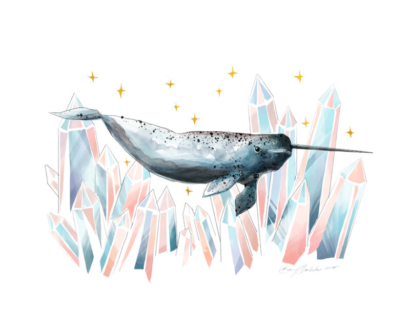 Crystal Narwhal by Darcy Goedecke