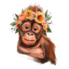 Orangutan8x10Web