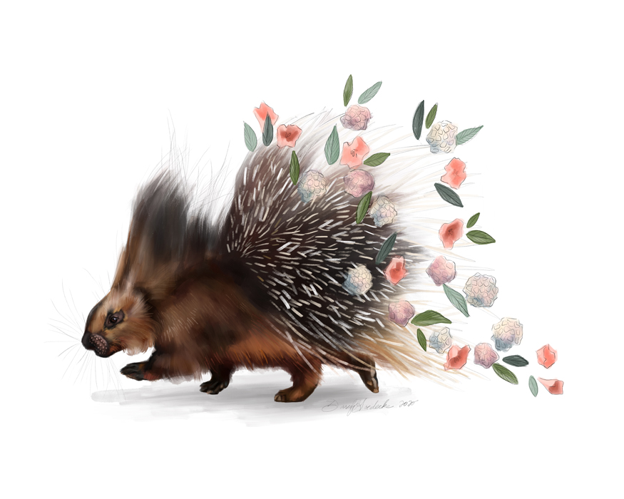 porcupine quills art