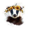 Sunflower Badger by Darcy Goedecke