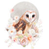 Pearl Owl by Darcy Goedecke