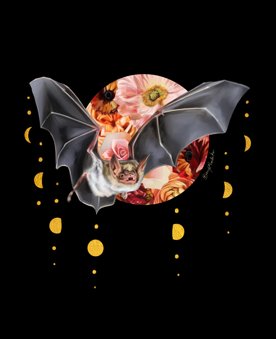 Luna Bat by Darcy Goedecke