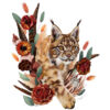 Bobcat Print by Darcy Goedecke