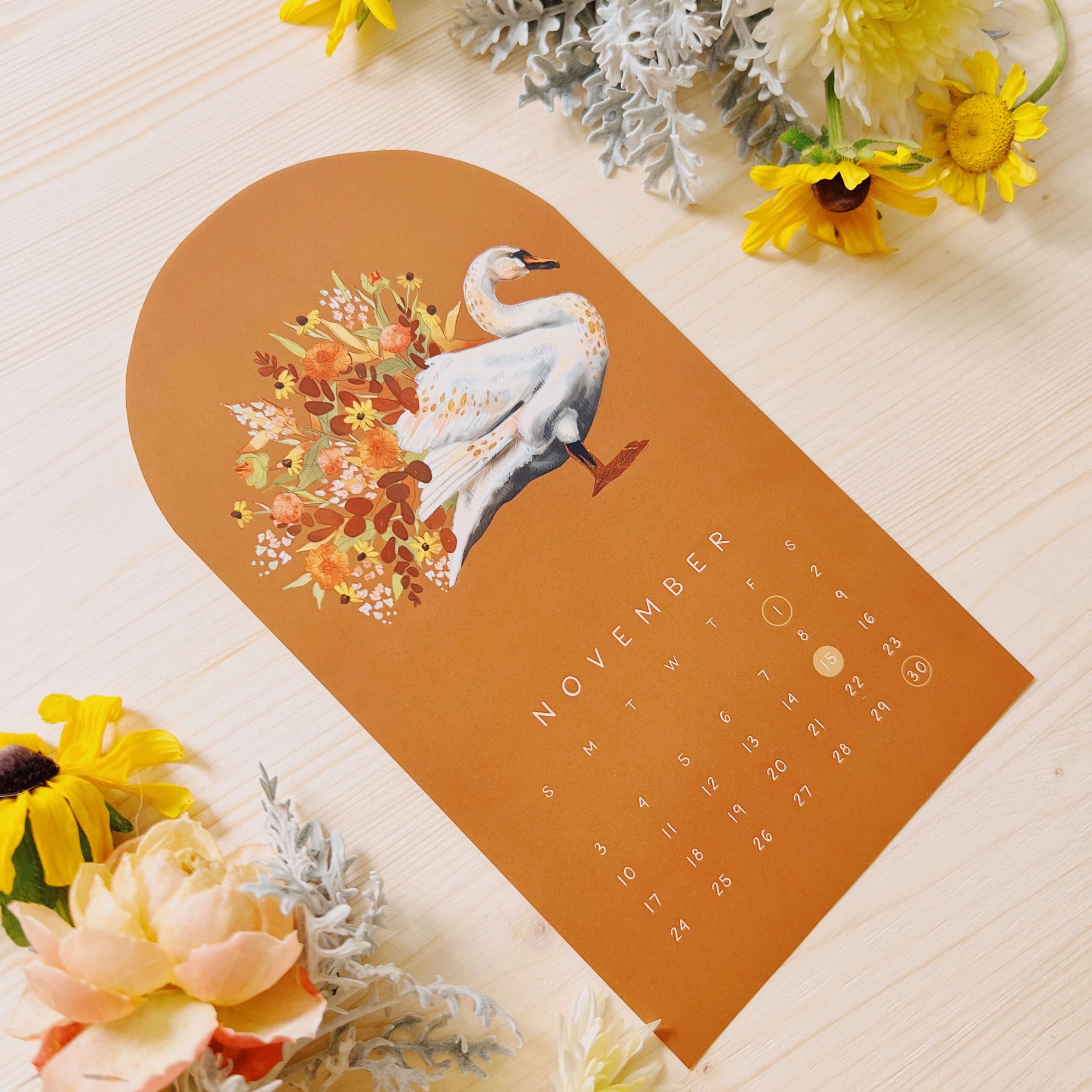 Swan Calendar by Darcy Goedecke