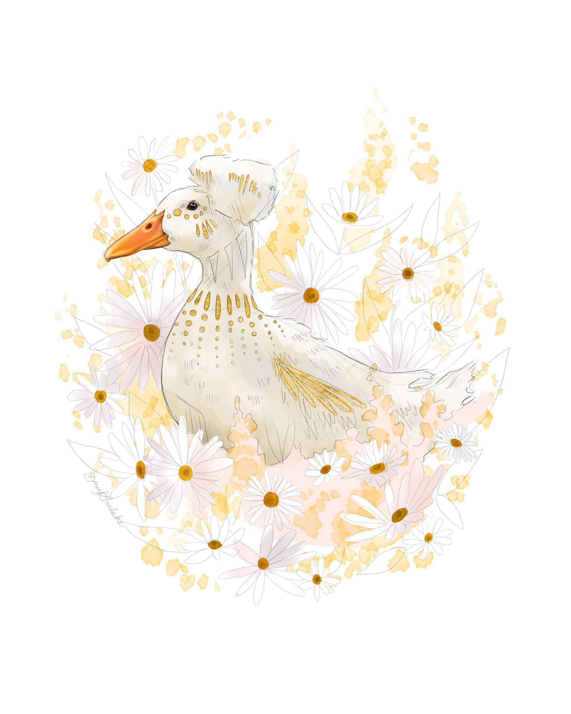 Spring Duck by Darcy Goedecke
