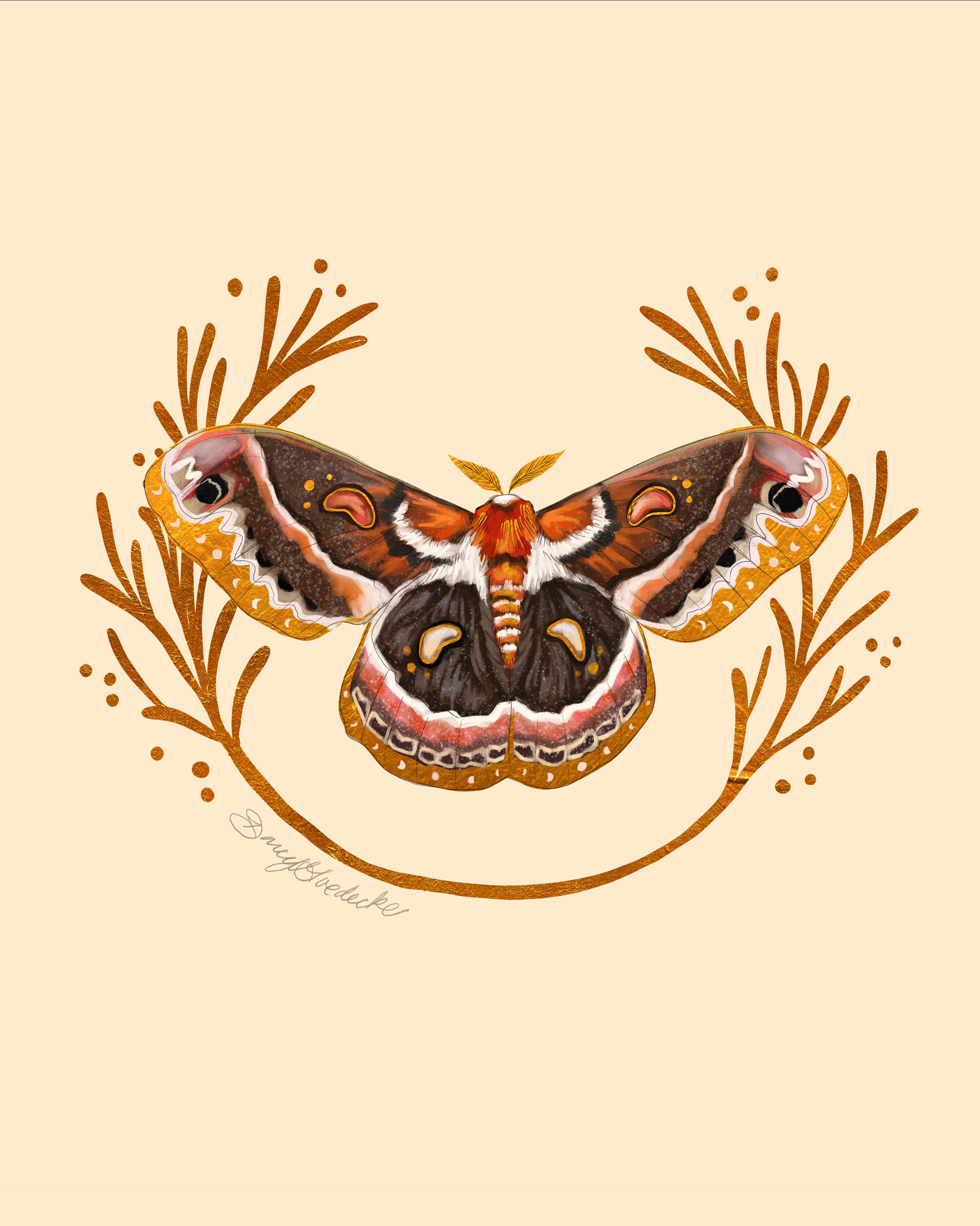 Bronze Moth by Darcy Goedecke