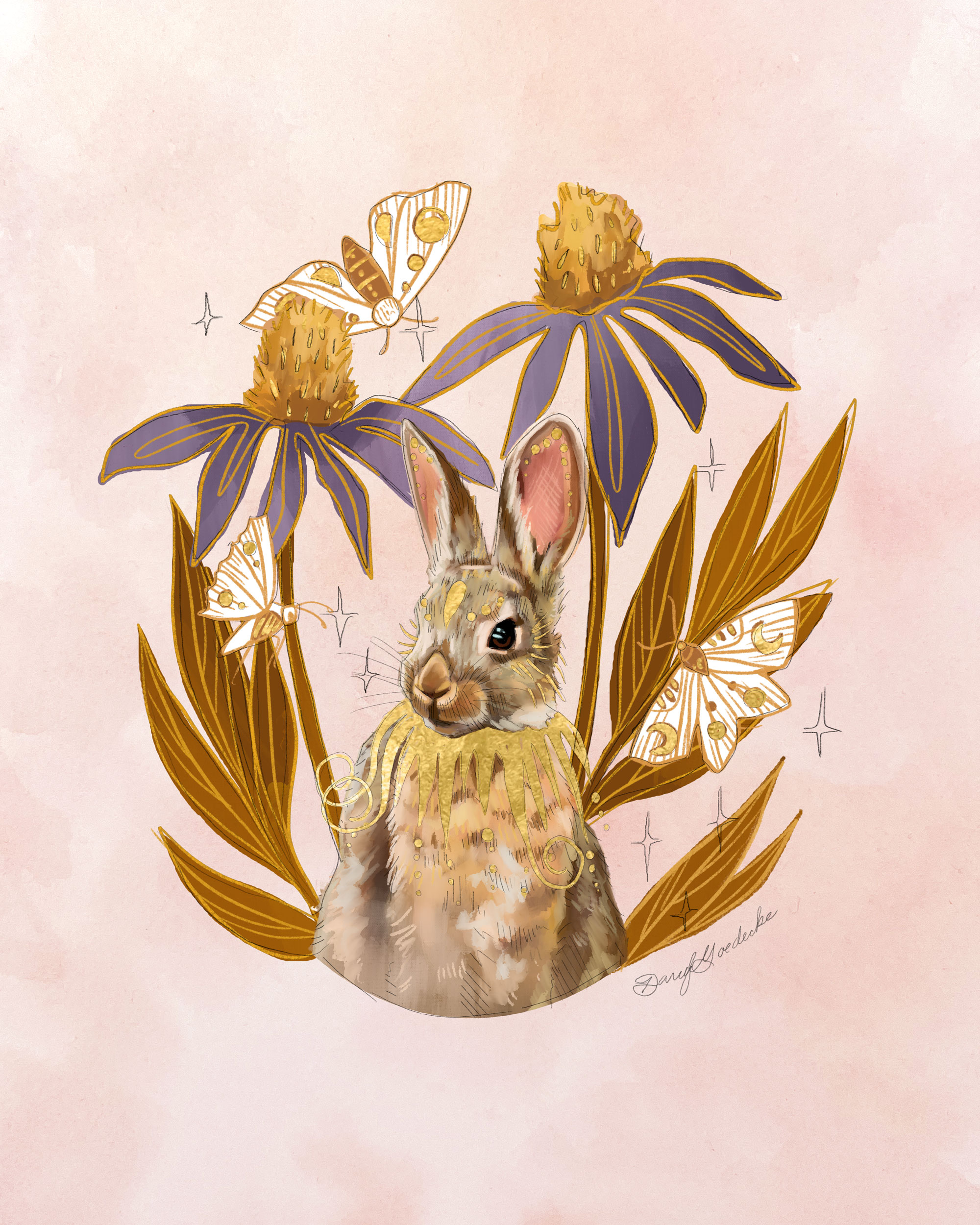 Echinacea Rabbit by Darcy Goedecke
