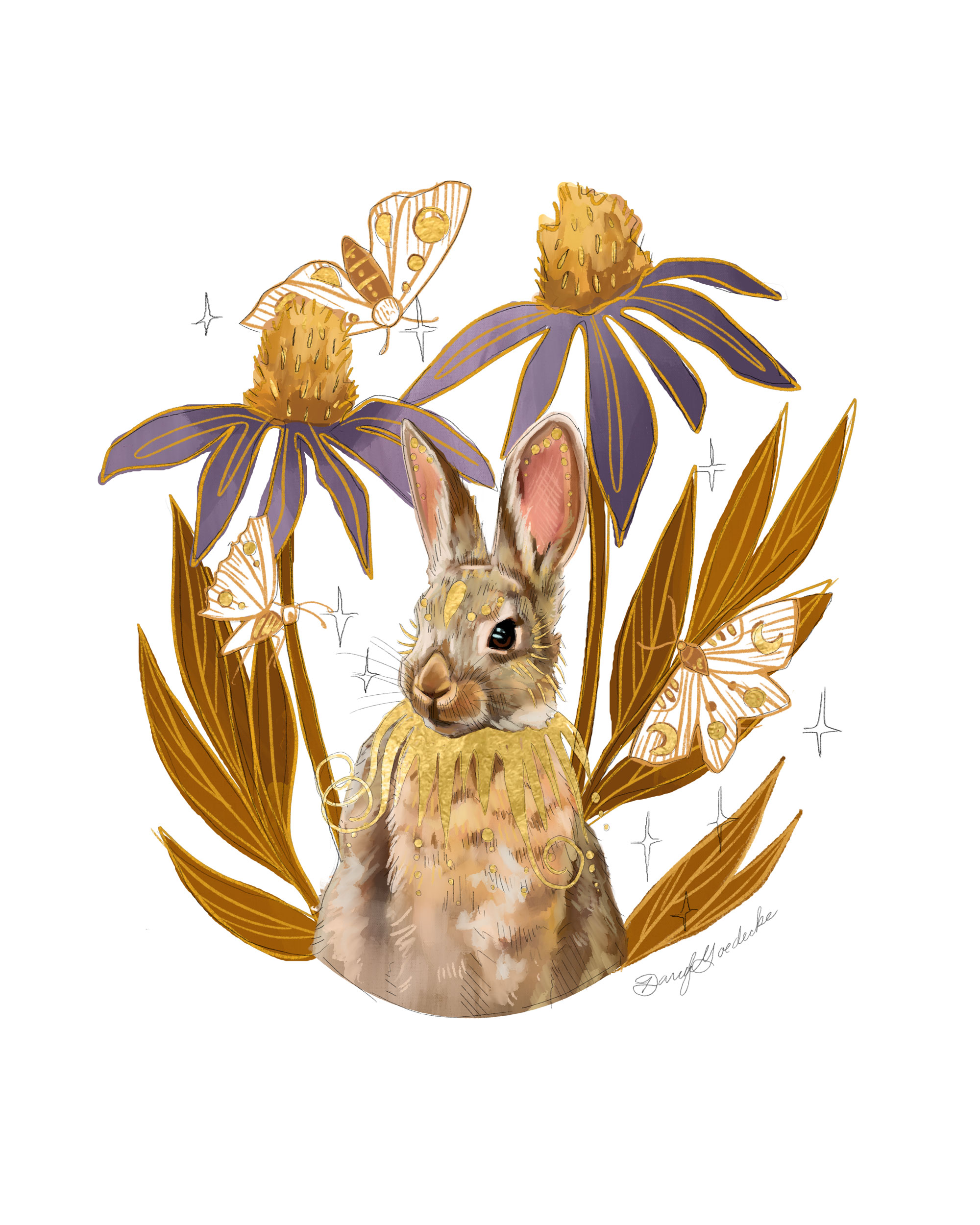 Echinacea Rabbit by Darcy Goedecke